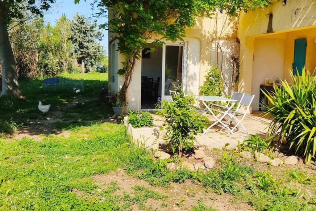 Offrez-Vous Un Sejour Dans Notre Gite A Entressen Une Grande Piscine Pour Se Rafraichir ,Un Espace De Jeux Pour Enfants Pour Des Heures De Divertissement Un Terrain De Petanque Pour Des Parties Endiablees Bagian luar foto